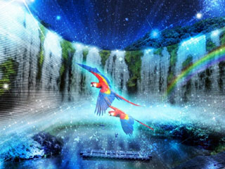 NESTA ILLUMINAネスタイルミナで光るわたあめFlash cotton candy販売