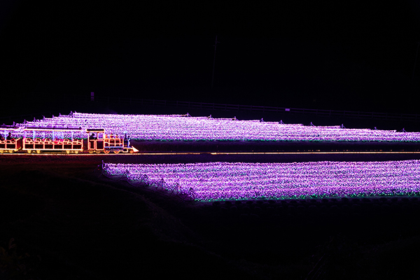 ローザンイルミ2020で光るわたあめFlash cotton candy販売