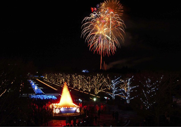 国営昭和記念公園で光るわたあめFlash cotton candy販売